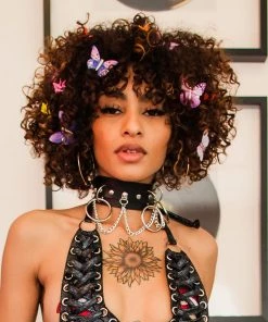 AE New 5pc Butterfly Dream Hair Clips