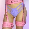 AE Pink Dominate Garter Harness New