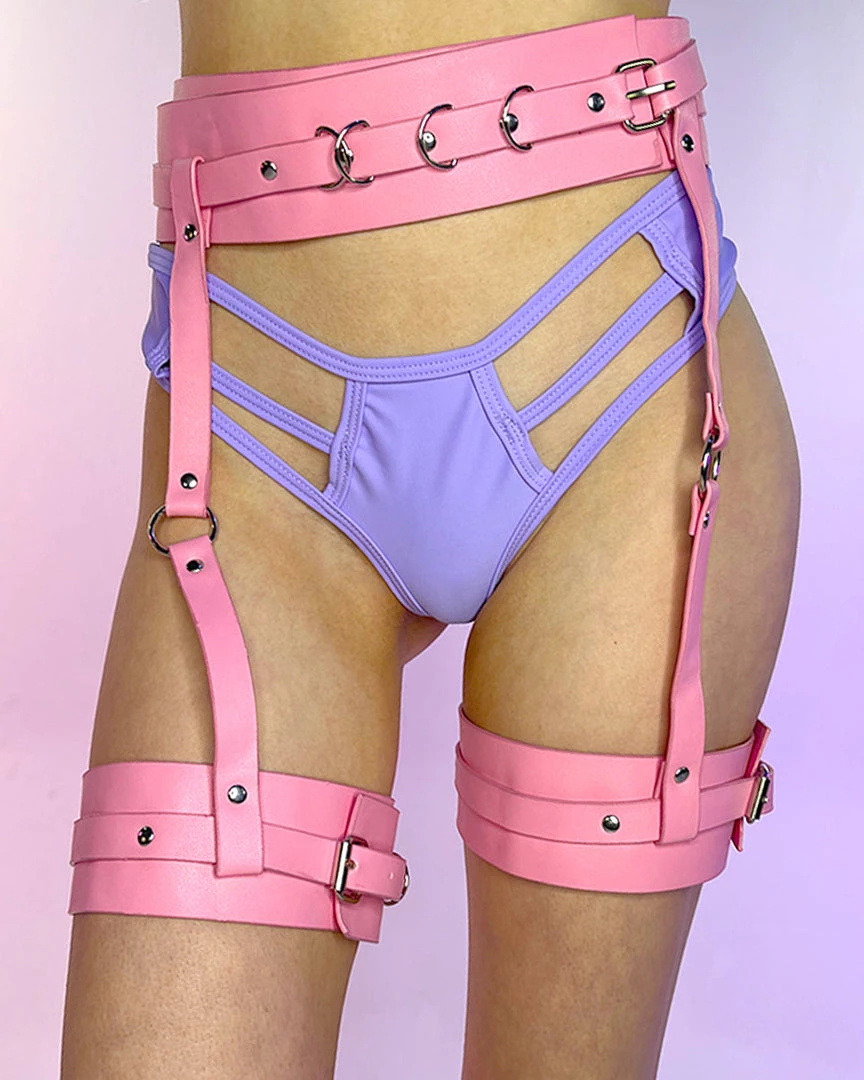 AE Pink Dominate Garter Harness New 1 AE Pink Dominate Garter Harness New