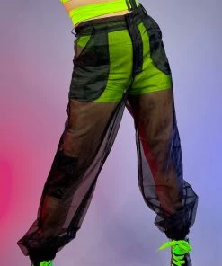 AE Sheer Ambition Organza Pants New