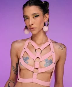 Daisy's Corsets Pink Ecstasy Stretchy Harness Top New