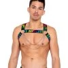 Roma Rainbow Love Chain Harness