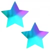 Neva Nude Chroma Star Reusable Metal Silicone Pasties