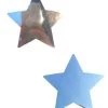 Neva Nude Accessories Silver Mirror Star Pasties